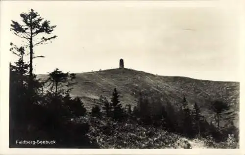 Ak Feldberg im Schwarzwald, Seebuck