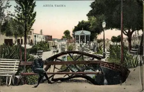Ak Arica Tacna Chile, Parkpartie