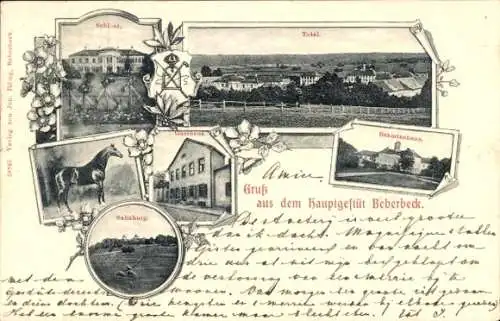 Ak Beberbeck Hofgeismar in Hessen, Hauptgestüt, Schloss, Sababurg, Gasthaus, Beamtenhaus