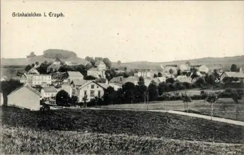 Ak Grünhainichen Sachsen, Panorama