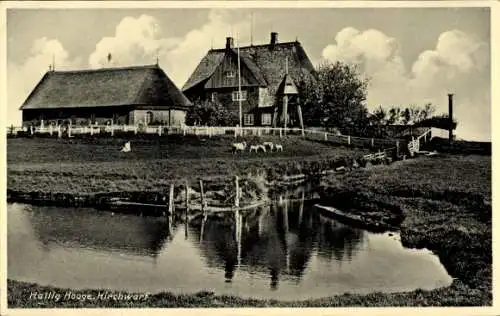 Ak Hallig Hooge in Nordfriesland, Kirchwarf