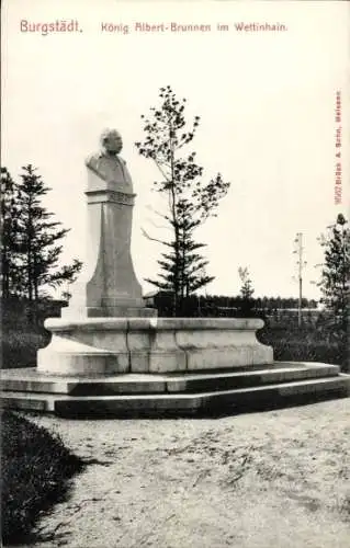 Ak Burgstädt, König Albert Brunnen im Wettinhain, Büste