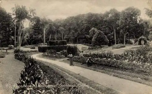Ak Peradeniya Sri Lanka, Botanischer Garten