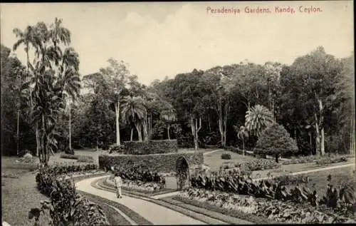 Ak Peradeniya Sri Lanka, Botanischer Garten