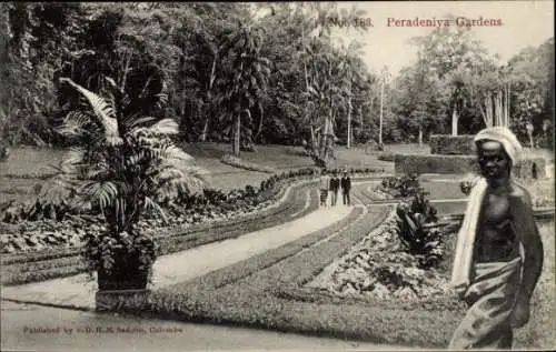 Ak Peradeniya Sri Lanka, Botanischer Garten