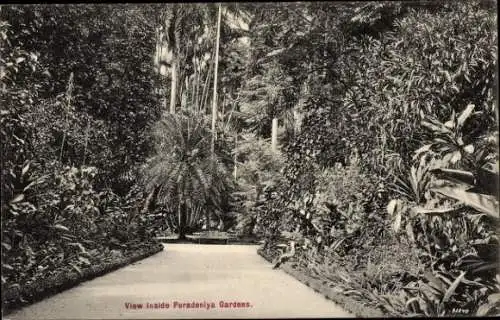 Ak Peradeniya Sri Lanka, Botanischer Garten