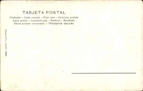 Ak Stierkampf, Capro a la Alimon