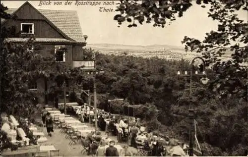 Ak Thale im Harz, Blick von der Rosstrappe, Terrasse