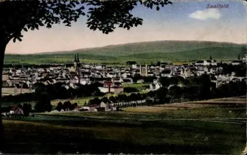 Ak Saalfeld in Thüringen, Panorama