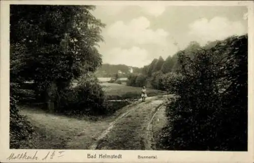 Ak Helmstedt in Niedersachsen, Brunnental