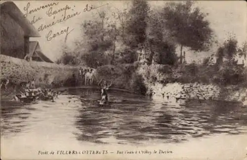 Ak Villers Cotterêts Aisne, Teich, Wildtier