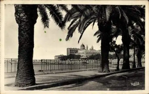 Ak Saint Raphaël Var, Boulevard Felix-Martin, Palmen