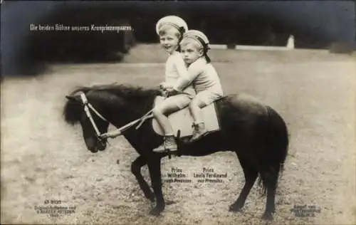 Ak Die beiden Söhne des Kronprinzenpaares, Prinz Wilhelm und Prinz Louis Ferdinand auf einem Pony