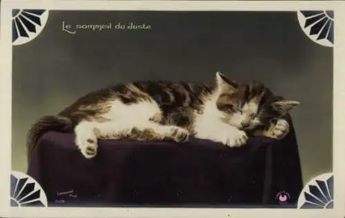 Ak Junge Katze beim Schlafen