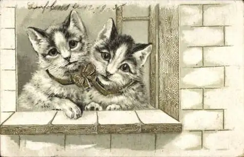 Ak Zwei Katzen am Fenster, Schleife