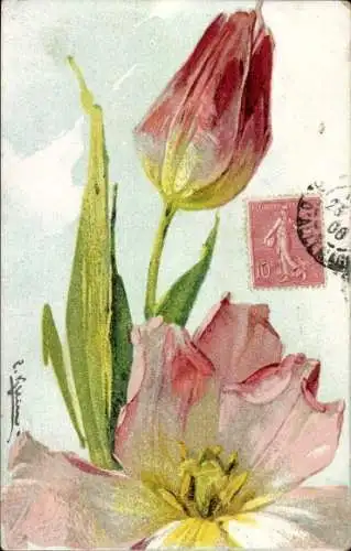 Künstler Ak Klein, Catharina, Tulpen