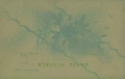 Zelluloid Ak Blumen, Vergissmeinnicht