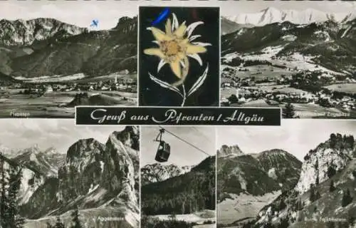 Material Ak Pfronten im Allgäu, Zugspitze, Aggenstein, Ruine Falkenstein, Echte Pflanze, Edelweiß