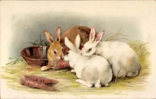 Litho Kaninchen beim Essen, Möhren, Karotten