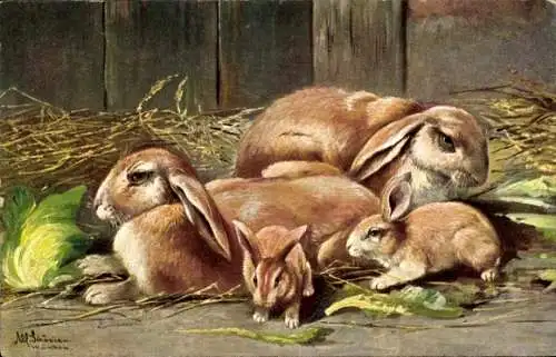 Künstler Ak Schönian, Alfred, Kaninchen, Salatblätter