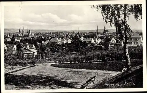 Ak Naumburg an der Saale, Ortsansicht