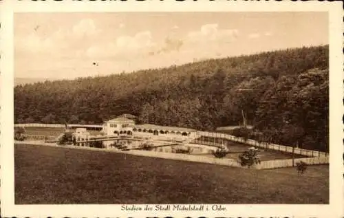 Ak Michelstadt im Odenwald, Stadion, Wald