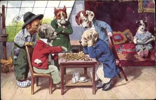 Künstler Ak Vermenschlichte Hunde beim Schachspiel