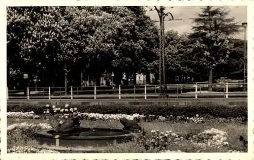 Foto Ak Oberursel im Taunus Hessen, Garten, Hochspannungsleitung