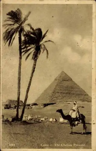 Ak Cairo Kairo Ägypten, Beduine auf Kamel, Pyramide, Palmen