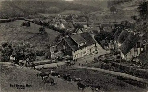 Ak Bad Grund im Harz, Gesamtansicht, Kreistal