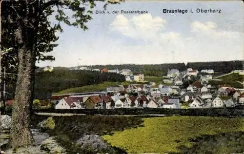 Ak Braunlage im Oberharz, Blick von der Rosentalbank, Panorama