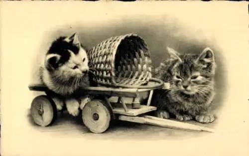 Ak Zwei junge Katzen, Spielzeug, Korb