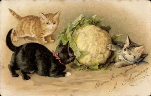 Litho Drei junge Katzen, Blumenkohl