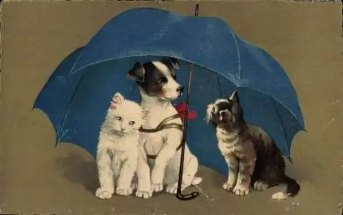 Ak Hund und Katzen unter einem Schirm