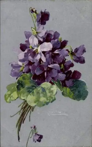 Präge Künstler Ak Klein, Catharina, Veilchen