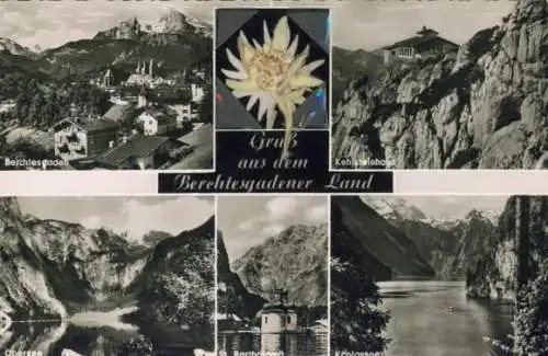 Material Ak Berchtesgaden in Oberbayern, Echte Pflanze, Edelweiß, Obersee, Königssee