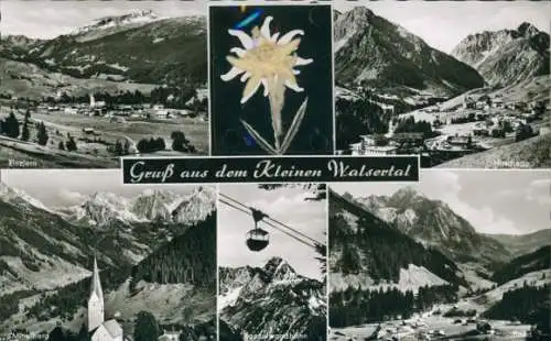 Material Ak Riezlern Mittelberg im Kleinwalsertal Vorarlberg, Echte Pflanze, Edelweiß, Mittelberg