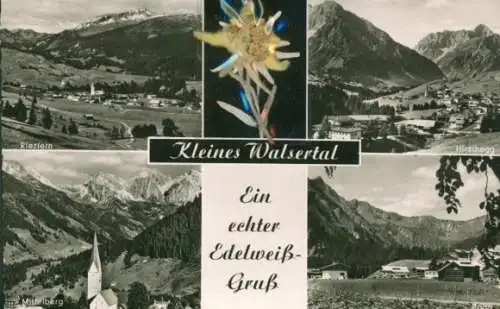 Material Ak Riezlern Mittelberg im Kleinwalsertal Vorarlberg, Echte Pflanze, Edelweiß, Mittelberg