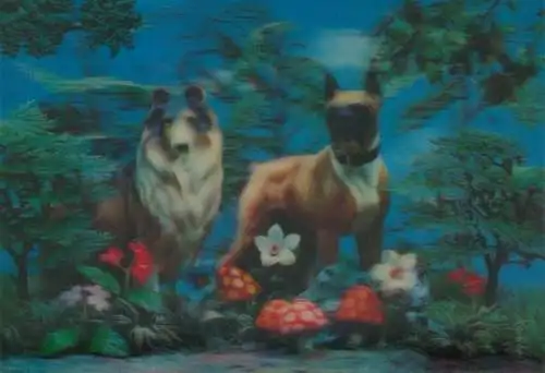 3-D Ak Hunde, Bulldogge, Collie, Blumen, Pilze