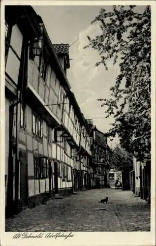 Ak Detmold in Nordrhein Westfalen, Adolfstraße