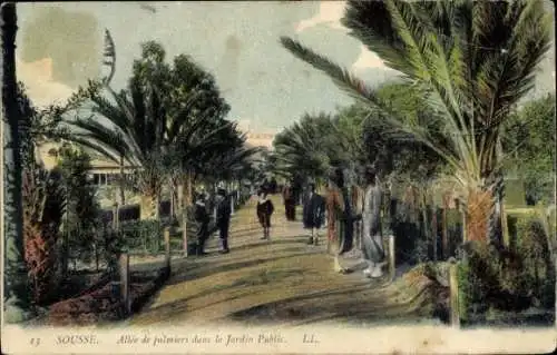 Ak Sousse Tunesien, Palmenallee im öffentlichen Garten