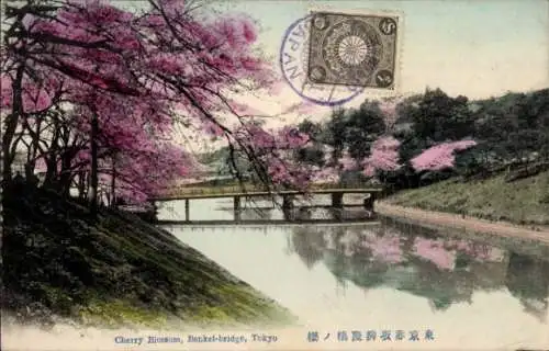 Ak Tokyo Tokyo Japan, Kirschblüte, Benkelbrücke