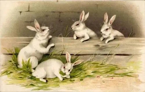 Litho Weiße Hasen, Ostern, Gras