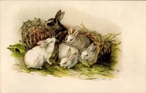 Litho Kaninchen-Familie, Körbe