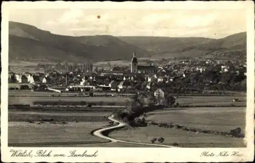 Ak Wittlich in der Eifel, Blick vom Steinbruch, Gesamtansicht