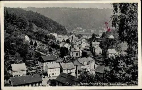 Ak Krippen Bad Schandau in Sachsen, Blick über die Stadt