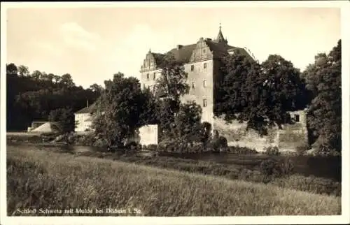 Ak Schweta Döbeln in Sachsen, Schloss, Mulde