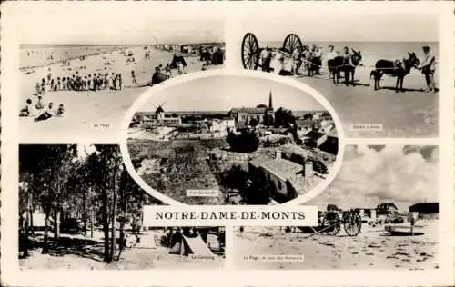 Ak Notre Dame de Monts Vendée, Strand, Zugtiere am Strand, Gesamtansicht, Camping