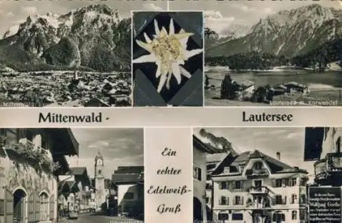 Material Ak Mittenwald in Oberbayern, Lautersee, Echte Pflanze, Edelweiß, Karwendel, Hauptstraße