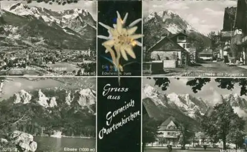 Material Ak Garmisch Partenkirchen in Oberbayern, Echte Pflanze, Edelweiß, Eibsee, Marktplatz